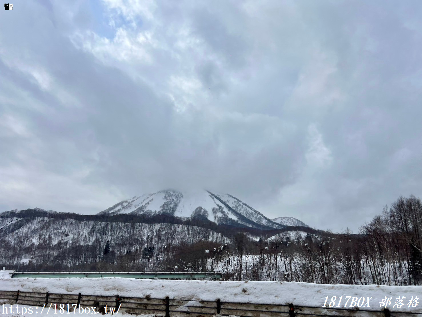 【北海道景點】羊蹄山。蝦夷富士。望羊の一本桜。日本百名山之一
