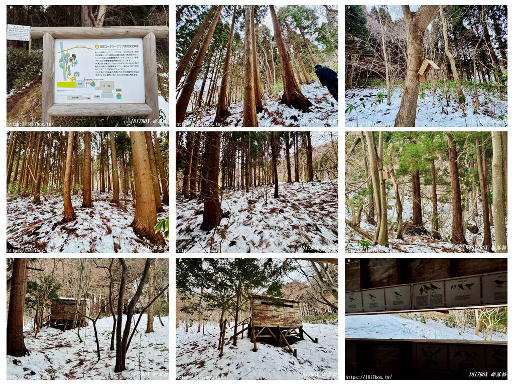 【北海道景點】函館 八幡宮。北海道歷史最悠久的神社之一