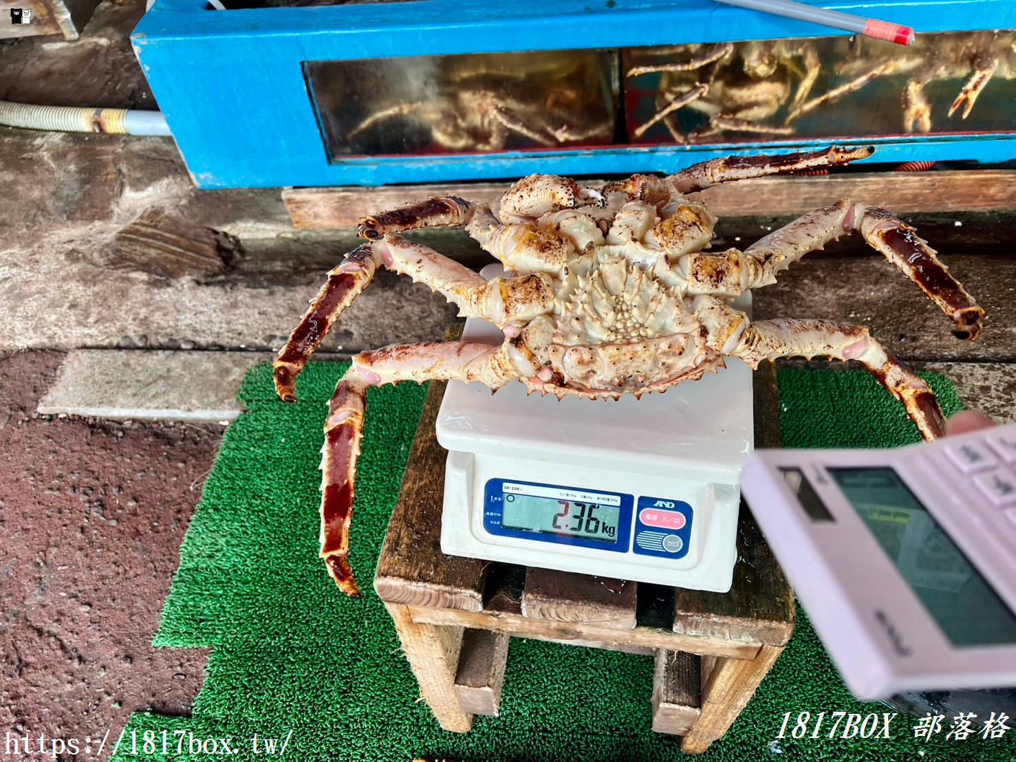 【北海道美食】かに専門店 蟹商。北海道人早餐就大啖帝王蟹、毛蟹？