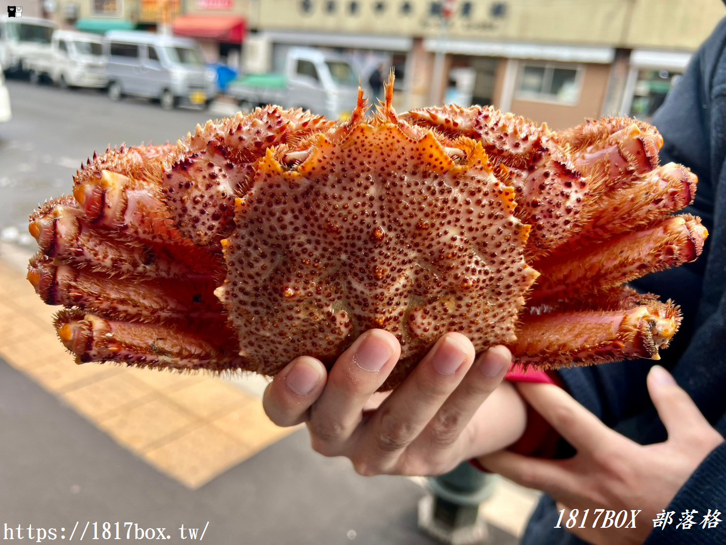 【北海道美食】かに専門店 蟹商。北海道人早餐就大啖帝王蟹、毛蟹？