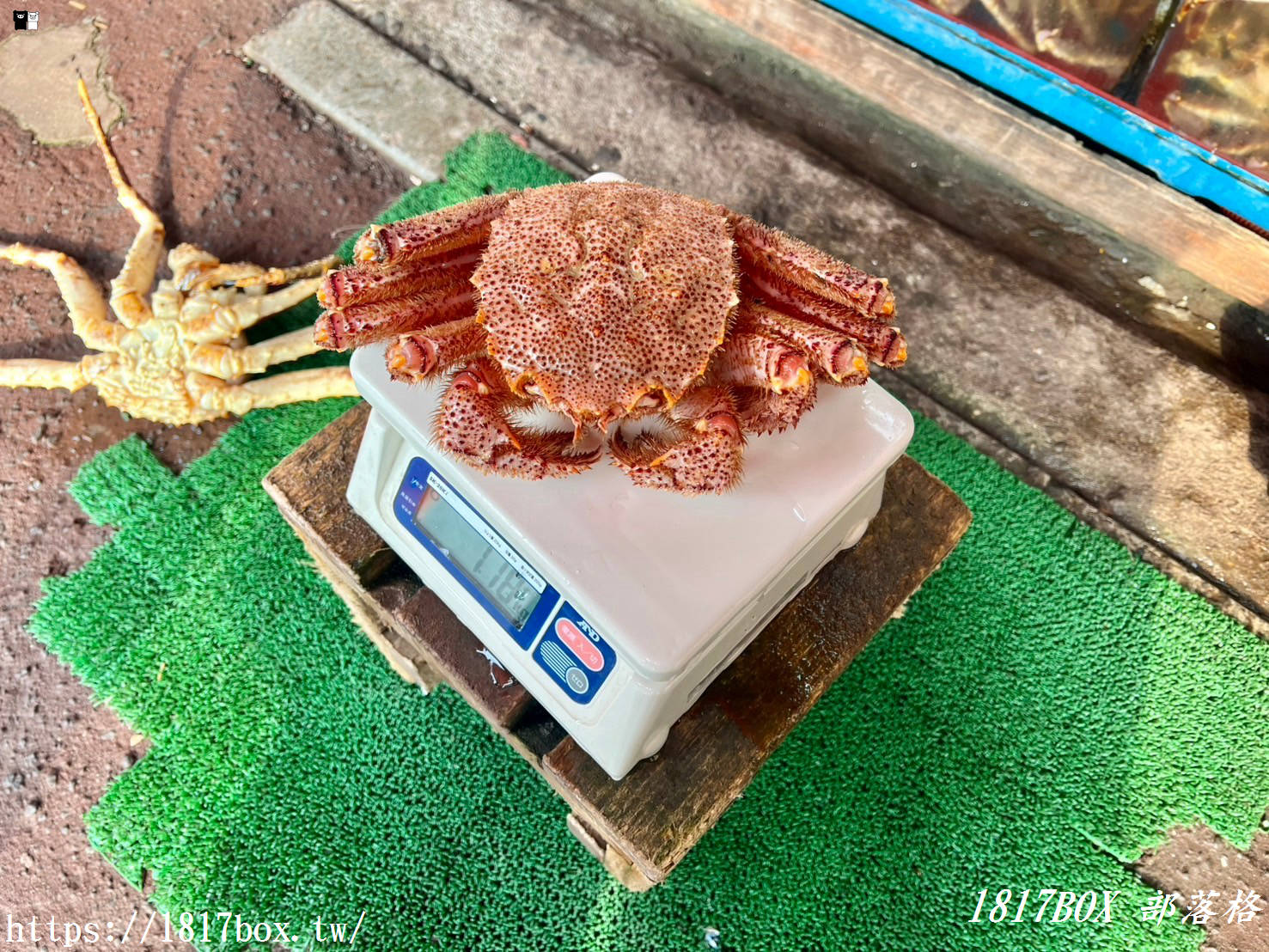 【北海道美食】かに専門店 蟹商。北海道人早餐就大啖帝王蟹、毛蟹？