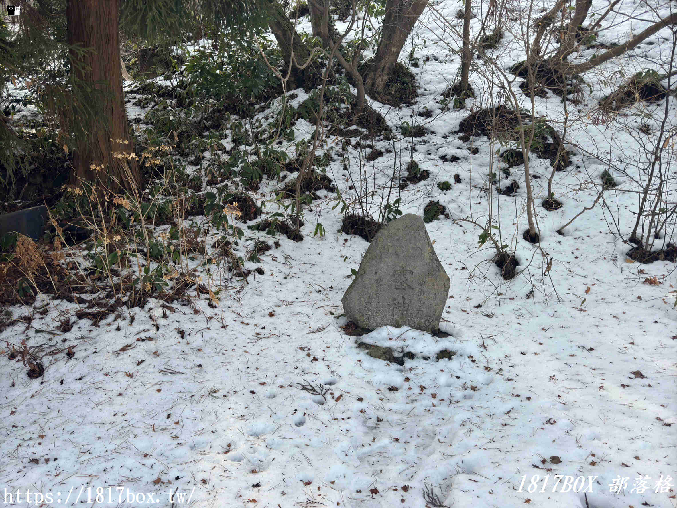 【北海道景點】山上大神宮。俯瞰幸坂與地平線近乎垂直交錯的景色。令人感動的絕景。函館看海神社