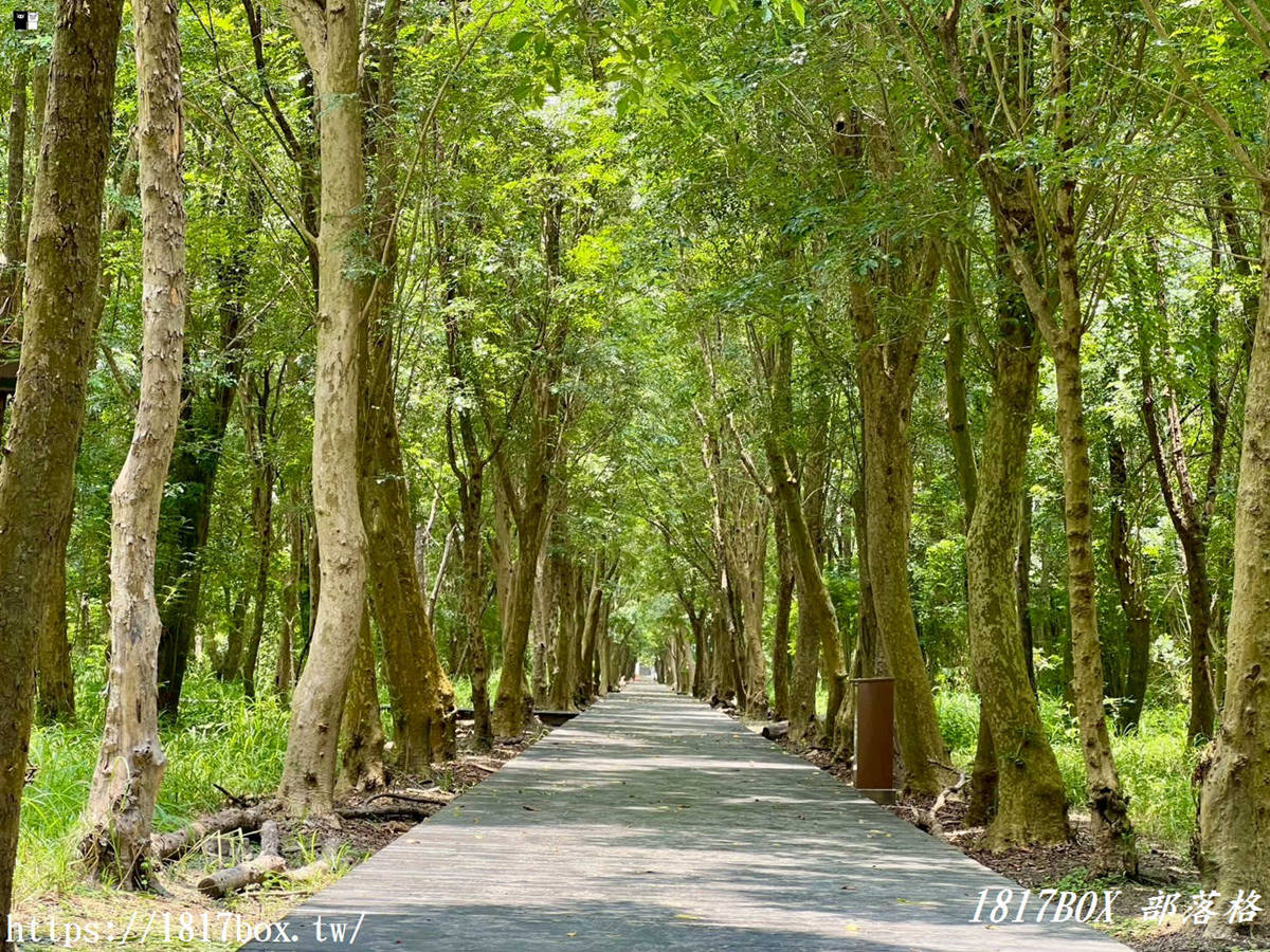 網站近期文章：【彰化。溪州】溪州公園森林區。夢幻森林系芬多精步道讓人陶醉