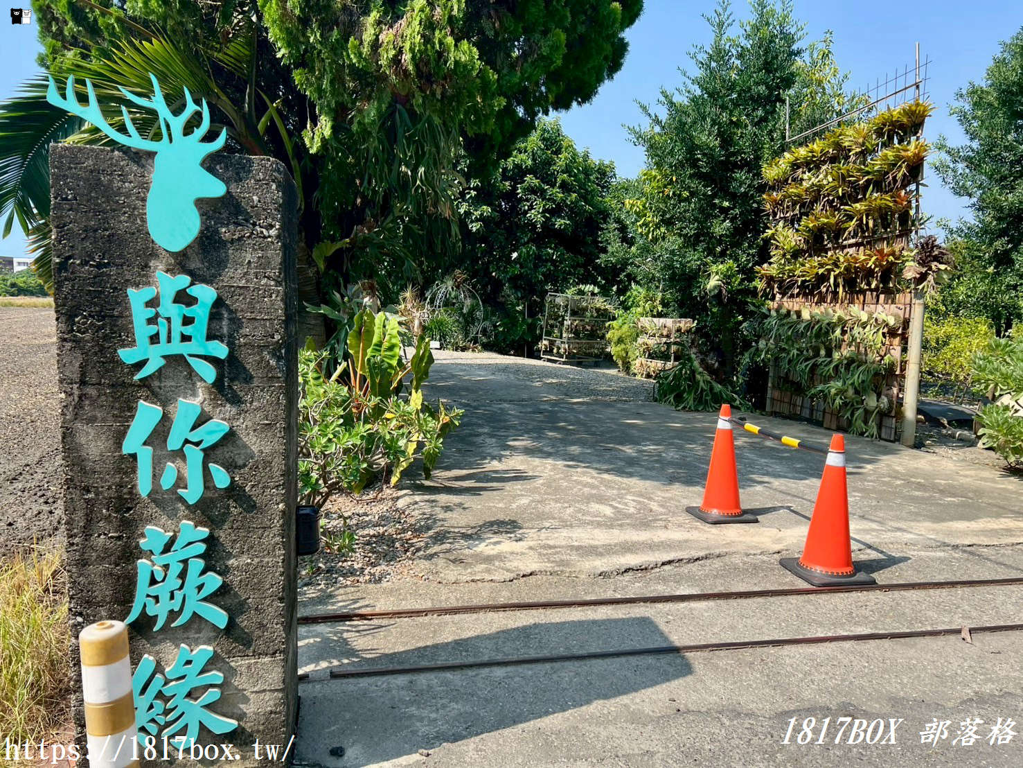 【彰化。埤頭】與你蕨緣。走入被雨林植物環繞的綠意空間。複合式親子園區