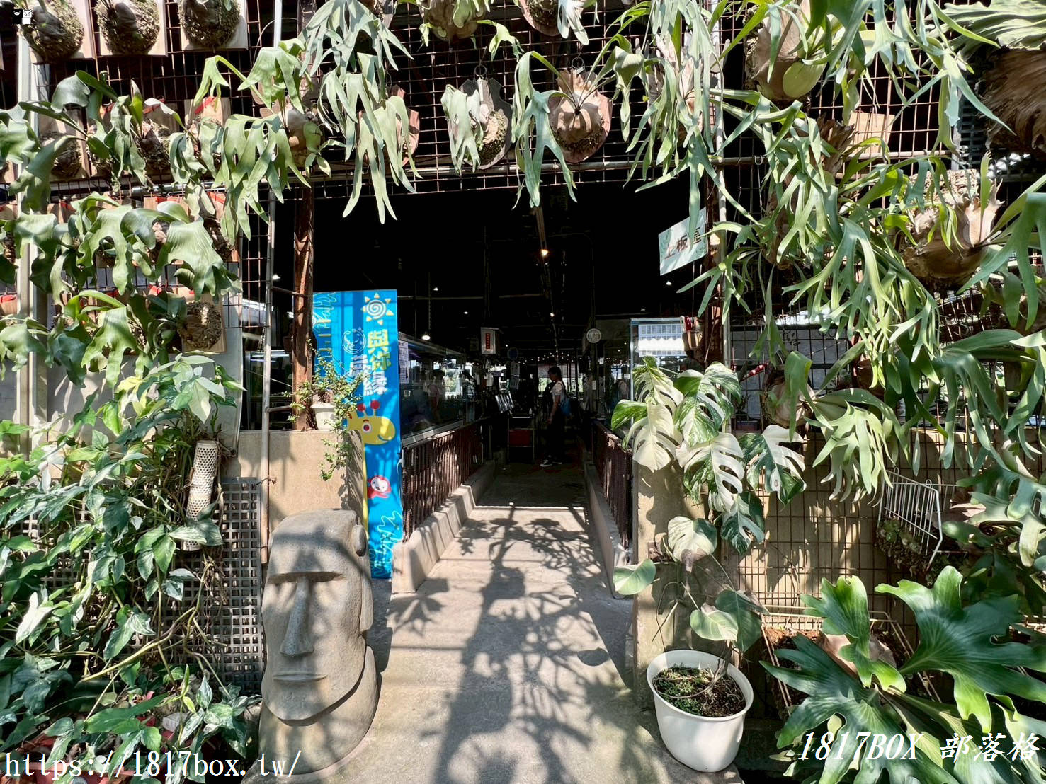 【彰化。埤頭】與你蕨緣。走入被雨林植物環繞的綠意空間。複合式親子園區