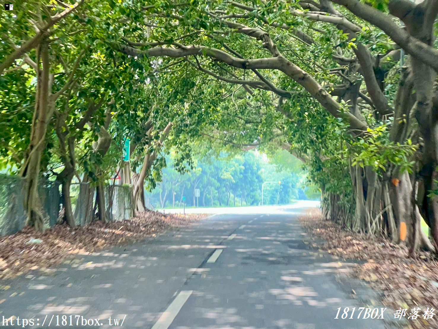 【彰化。埤頭】冰粽發明館。北斗麻糬觀光工廠