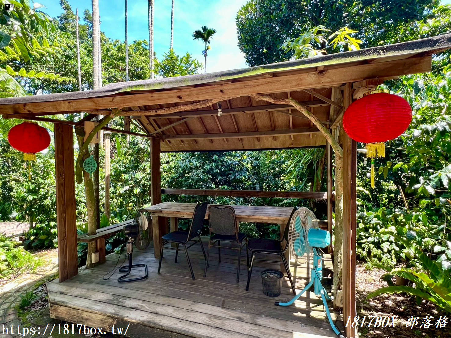 【雲林。古坑】竽芯園庭園美食屋。客家復古風木屋。森林系半露天餐廳