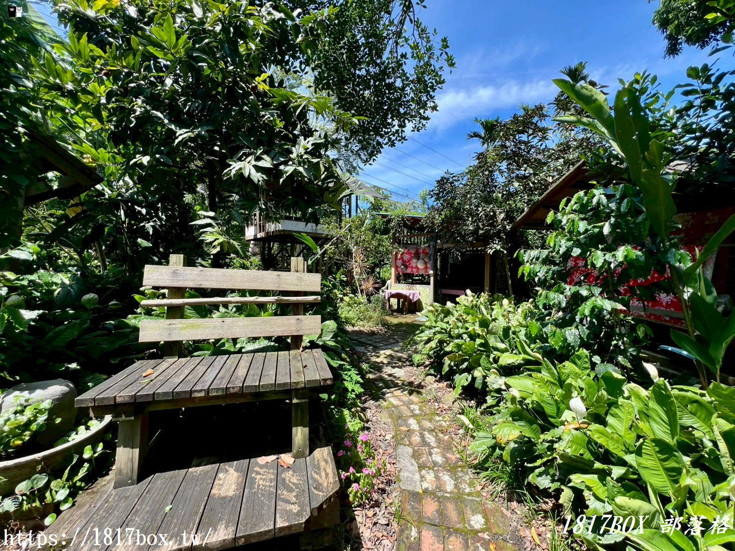 【雲林。古坑】竽芯園庭園美食屋。客家復古風木屋。森林系半露天餐廳