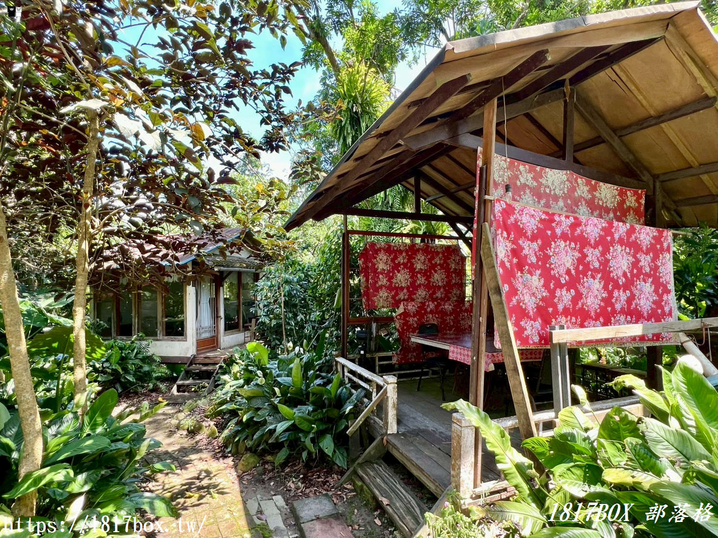 【雲林。古坑】竽芯園庭園美食屋。客家復古風木屋。森林系半露天餐廳