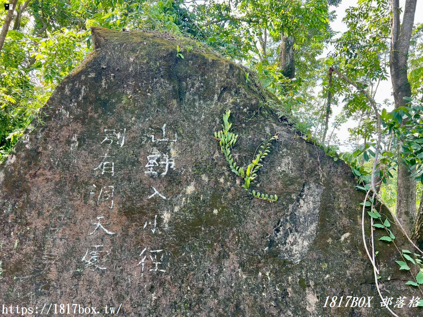 【南投。竹山】桶頭攔河堰。桶頭吊橋。設有步道和涼亭。欣賞清水溪景觀 【南投。竹山】桶頭攔河堰。桶頭吊橋。設有步道和涼亭。欣賞清水溪景觀
