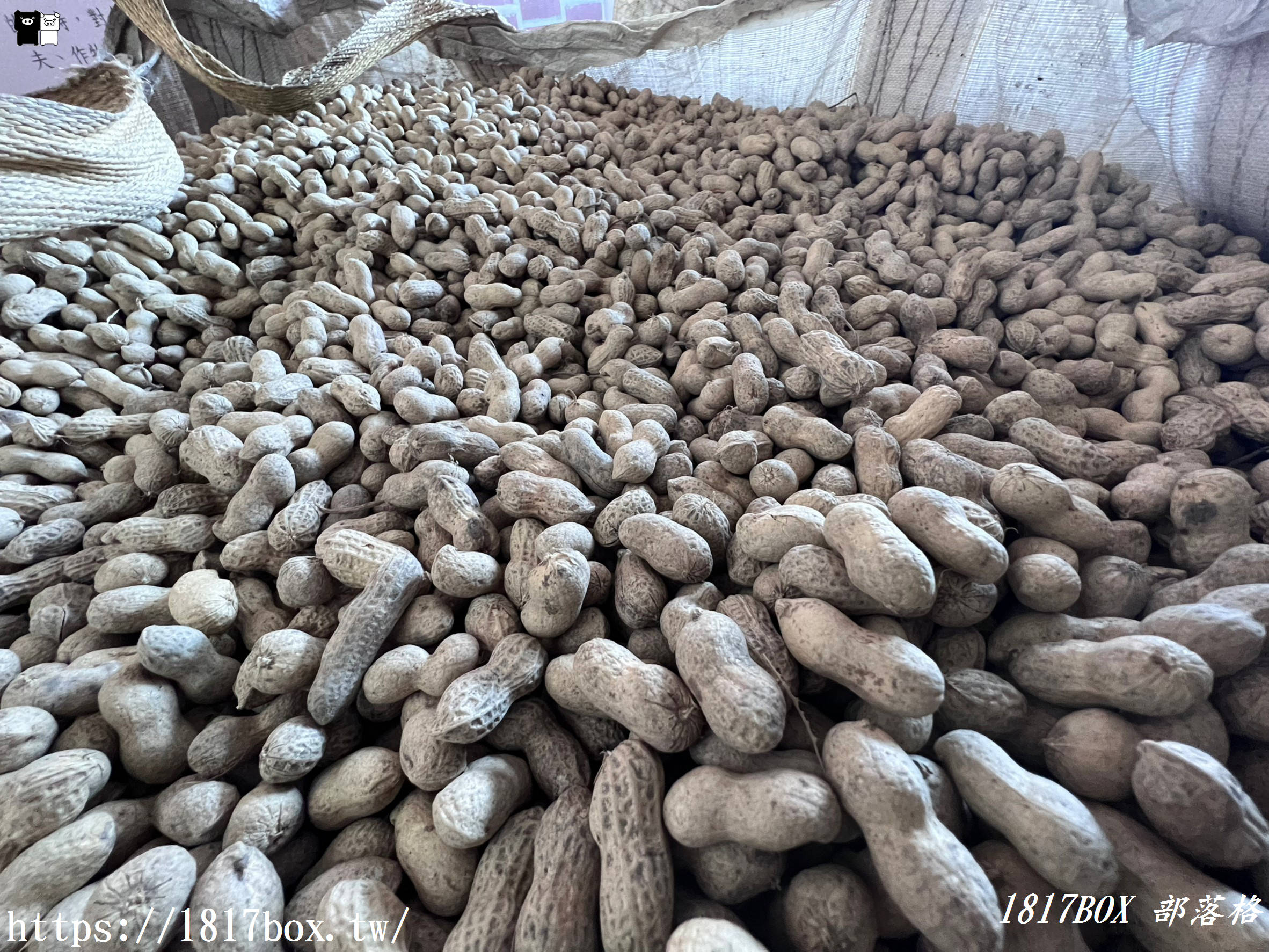 【行程規劃】嘉義東石一日遊。景點推薦、必吃美食
