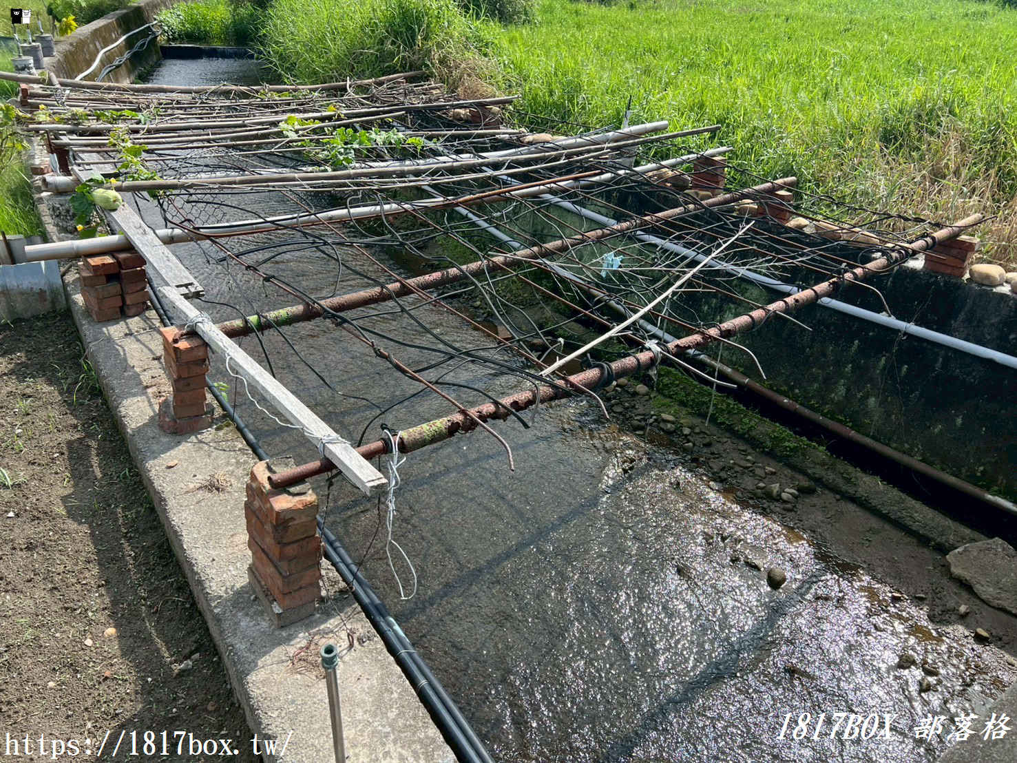 【苗栗。銅鑼】福星橋洗衫坑。古人智慧的文化景觀