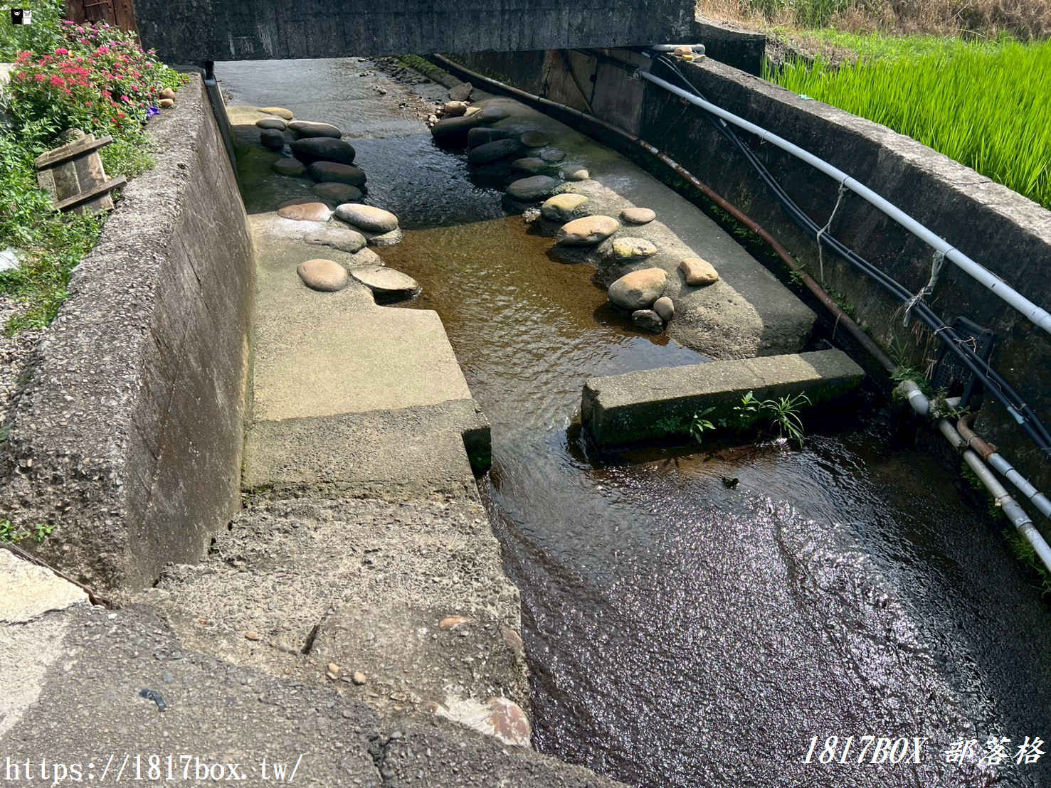 【苗栗。銅鑼】福星橋洗衫坑。古人智慧的文化景觀