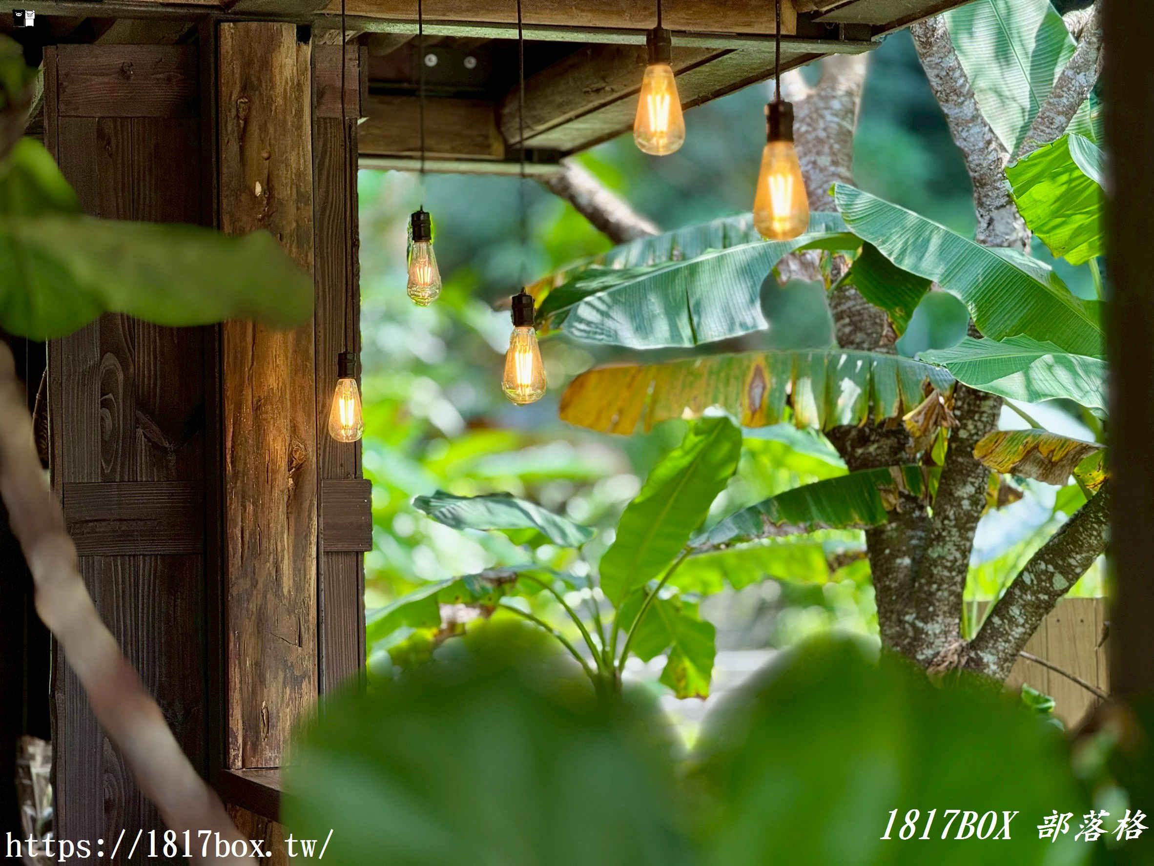 【嘉義。阿里山】哈娜廚房。來吉部落Hana廚房。美味的愛情故事。鄒族南非混搭料理 【嘉義。阿里山】哈娜廚房。來吉部落Hana廚房。美味的愛情故事。鄒族南非混搭料理