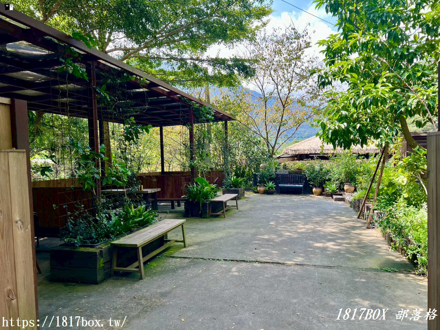 【嘉義。阿里山】哈娜廚房。來吉部落Hana廚房。美味的愛情故事。鄒族南非混搭料理 【嘉義。阿里山】哈娜廚房。來吉部落Hana廚房。美味的愛情故事。鄒族南非混搭料理