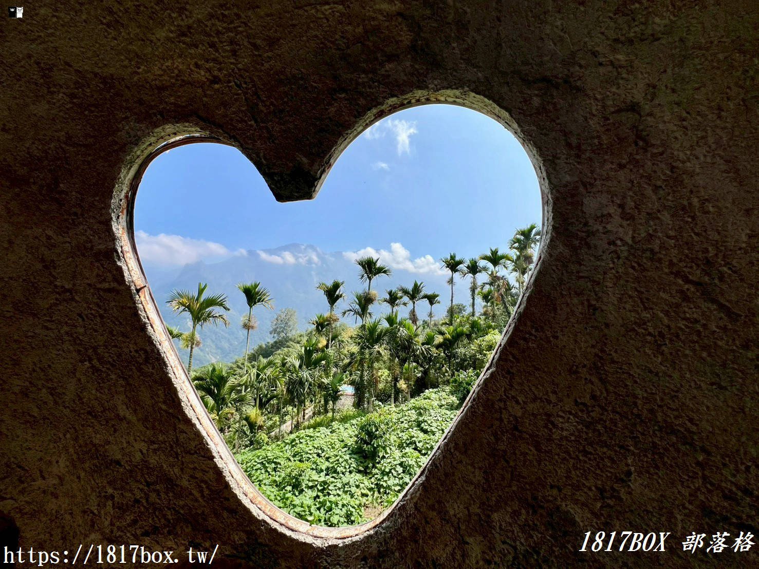 【嘉義。梅山】牛伯伯茶塢。隱身在梅山的秘密茶屋