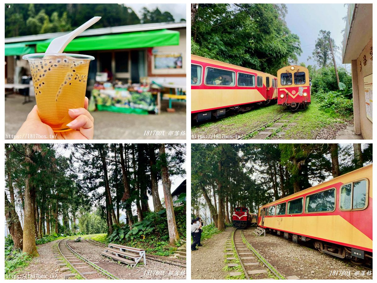 即時熱門文章：【嘉義。阿里山】森林中寧靜神秘的多林車站。隱藏在美麗的馬蹄型鐵軌彎道後