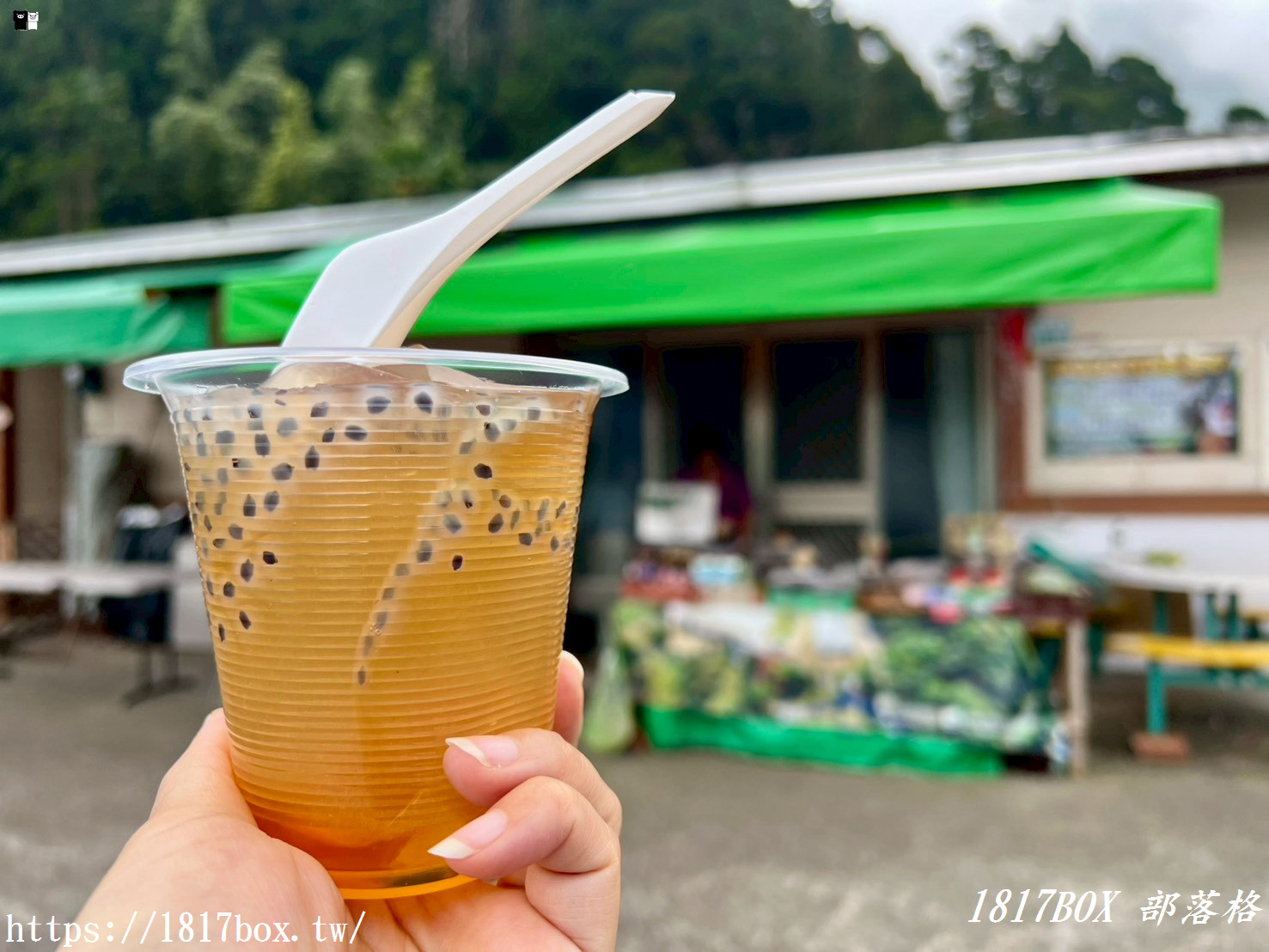 【嘉義。阿里山】森林中寧靜神秘的多林車站。隱藏在美麗的馬蹄型鐵軌彎道後 【嘉義。阿里山】森林中寧靜神秘的多林車站。隱藏在美麗的馬蹄型鐵軌彎道後