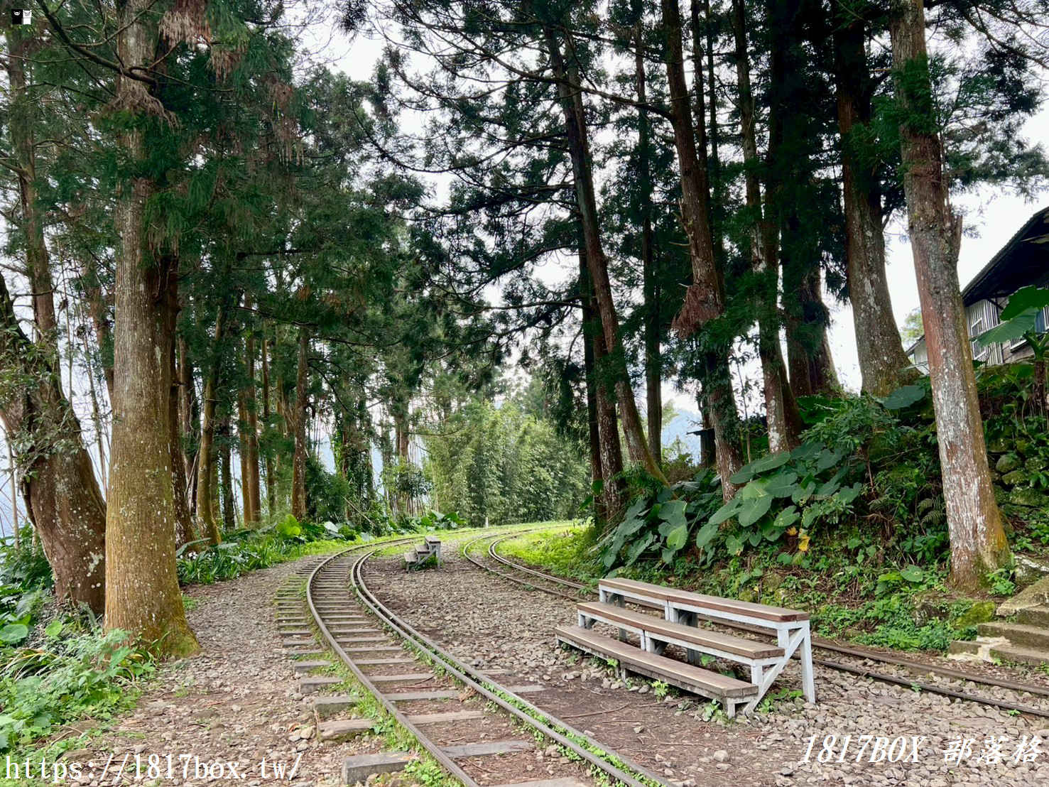 【嘉義。阿里山】森林中寧靜神秘的多林車站。隱藏在美麗的馬蹄型鐵軌彎道後 【嘉義。阿里山】森林中寧靜神秘的多林車站。隱藏在美麗的馬蹄型鐵軌彎道後