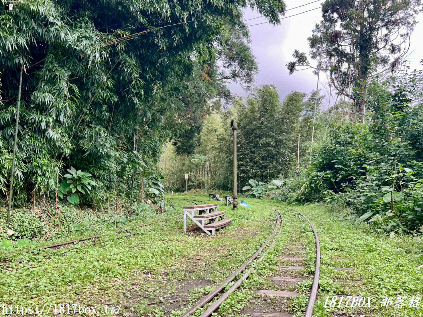 【嘉義。阿里山】森林中寧靜神秘的多林車站。隱藏在美麗的馬蹄型鐵軌彎道後