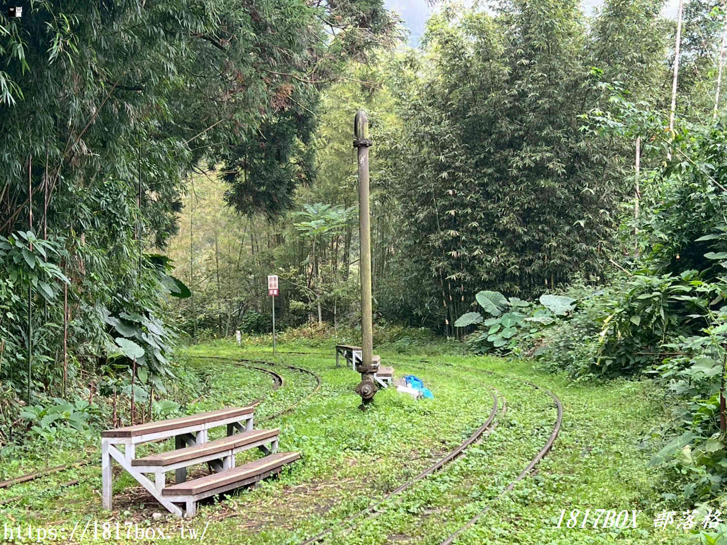 【嘉義。阿里山】森林中寧靜神秘的多林車站。隱藏在美麗的馬蹄型鐵軌彎道後 【嘉義。阿里山】森林中寧靜神秘的多林車站。隱藏在美麗的馬蹄型鐵軌彎道後