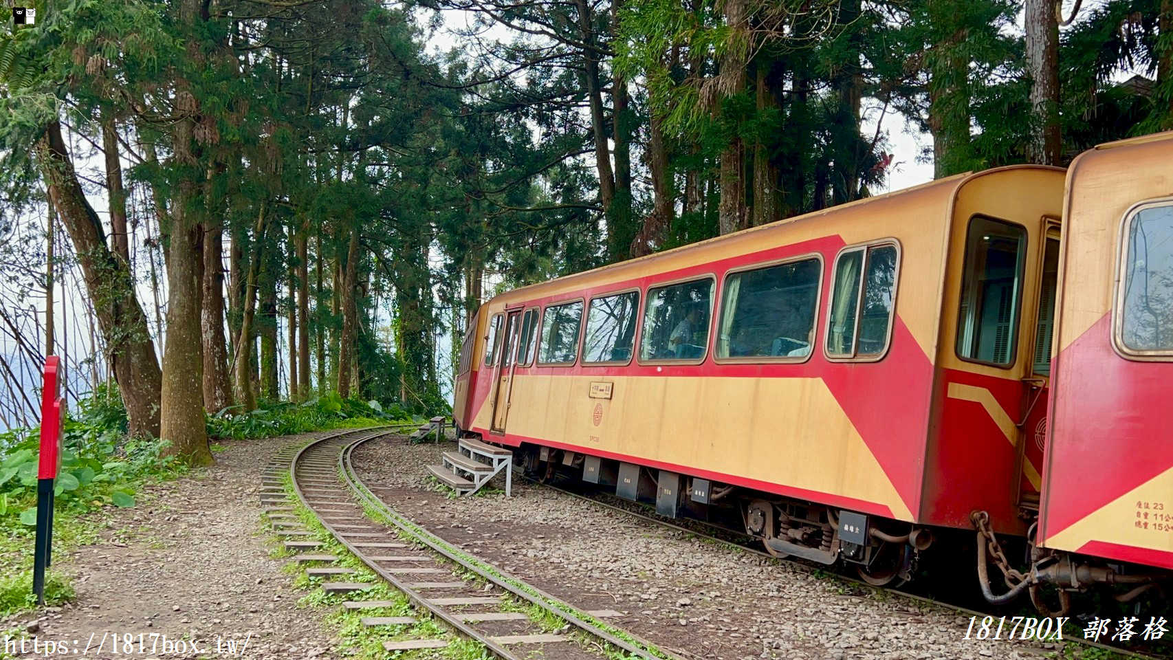 【嘉義。阿里山】森林中寧靜神秘的多林車站。隱藏在美麗的馬蹄型鐵軌彎道後