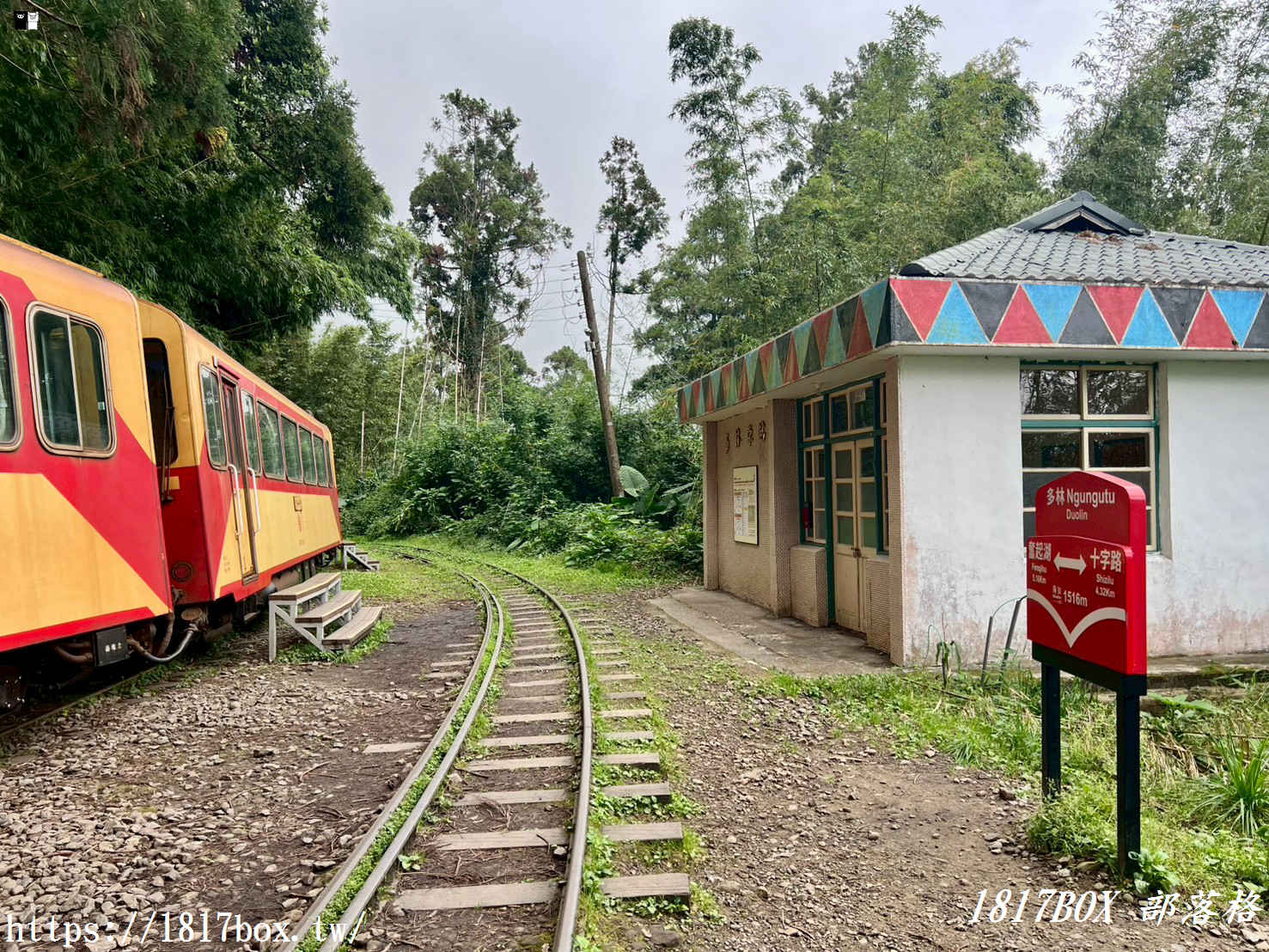 【嘉義。阿里山】森林中寧靜神秘的多林車站。隱藏在美麗的馬蹄型鐵軌彎道後
