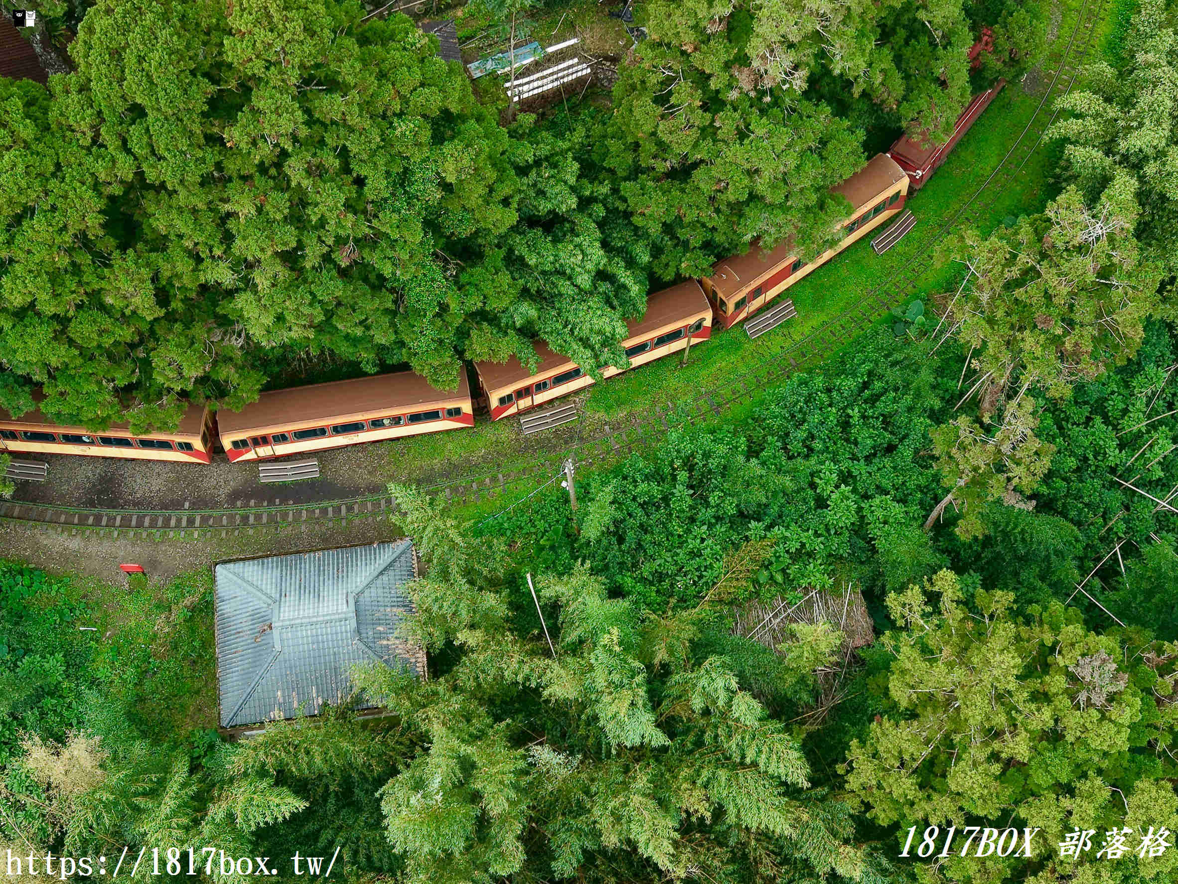 【嘉義。阿里山】森林中寧靜神秘的多林車站。隱藏在美麗的馬蹄型鐵軌彎道後