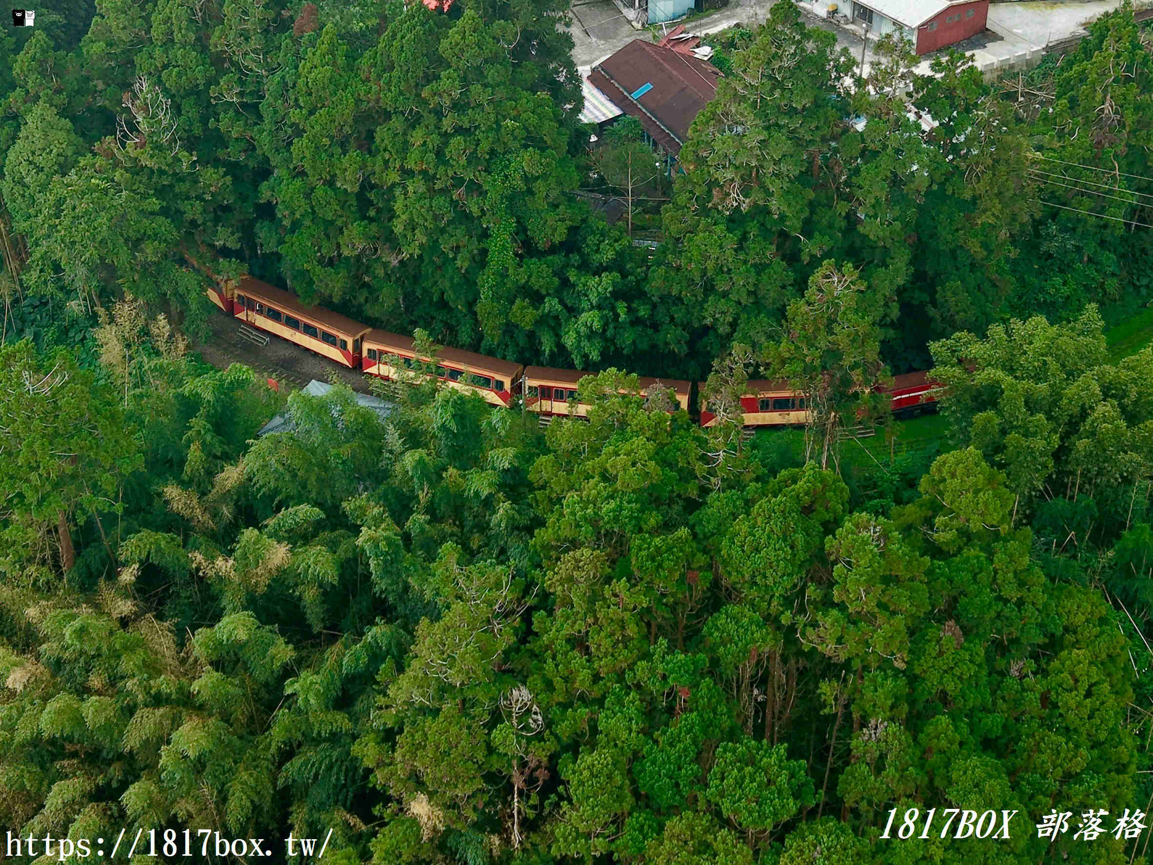 【嘉義。阿里山】森林中寧靜神秘的多林車站。隱藏在美麗的馬蹄型鐵軌彎道後