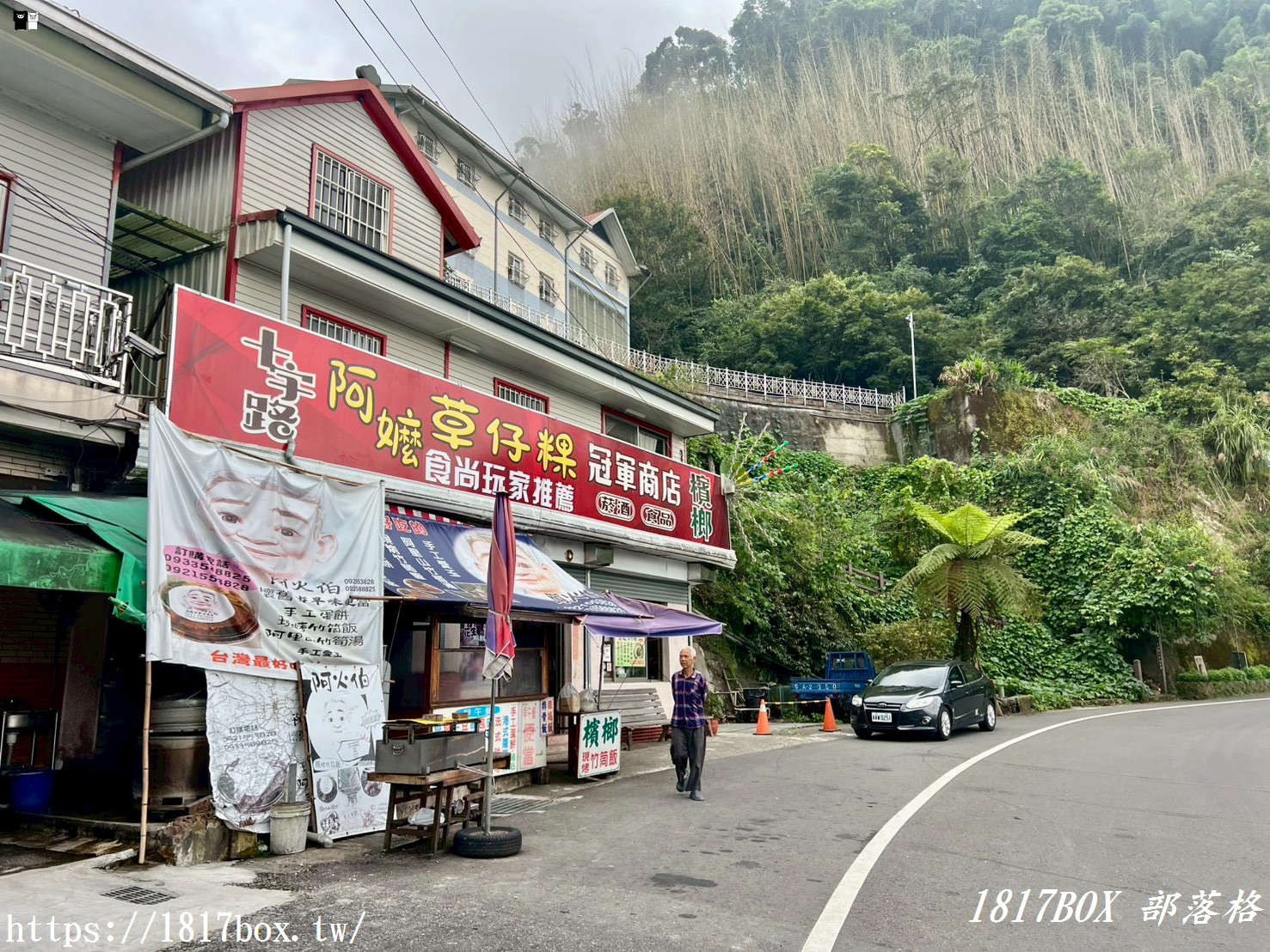 【嘉義。阿里山】十字路阿嬤草仔粿。七道傳統製作工法。阿里山超人氣小吃 【嘉義。阿里山】十字路阿嬤草仔粿。七道傳統製作工法。阿里山超人氣小吃