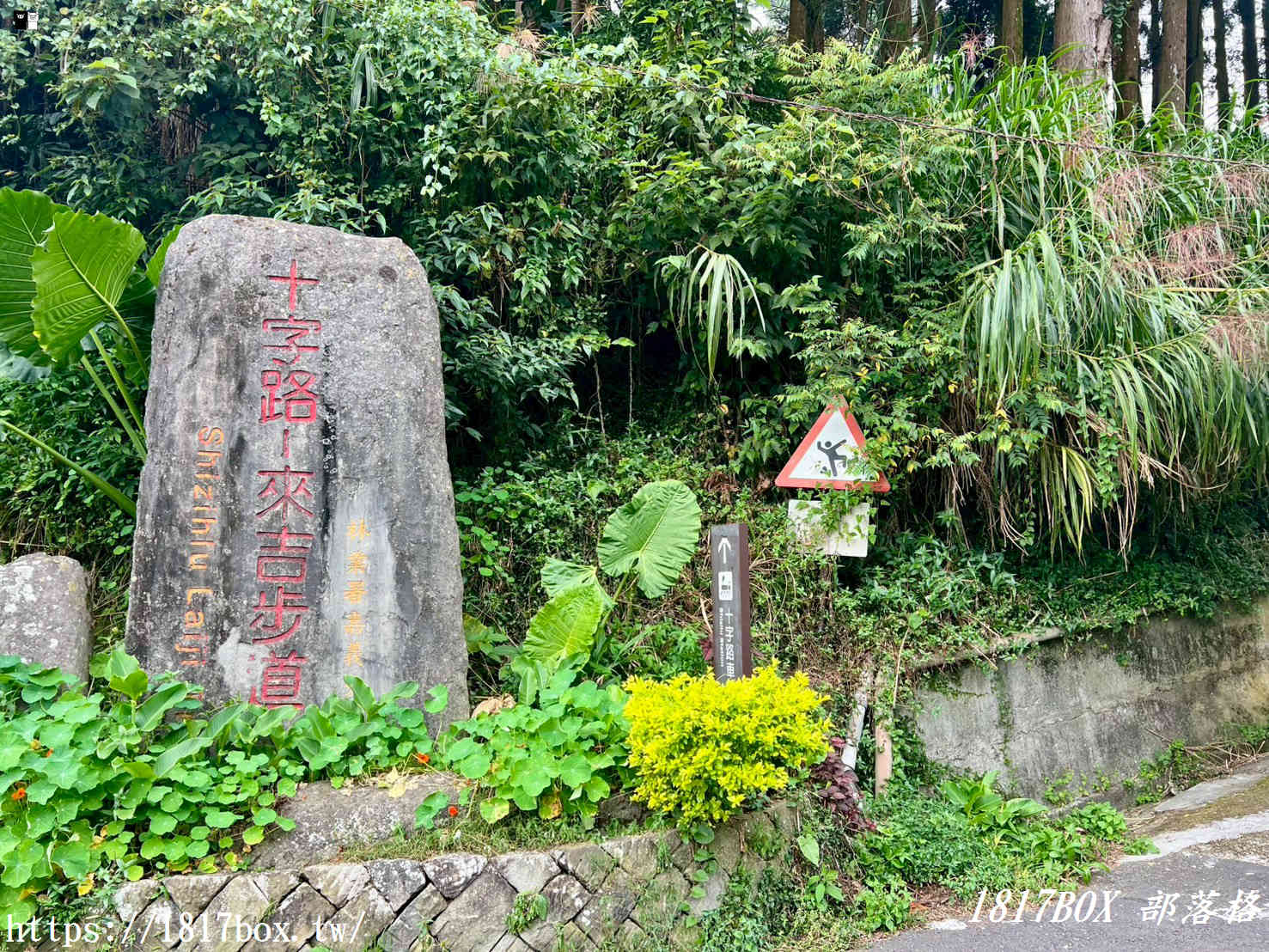 【嘉義。阿里山】十字路阿嬤草仔粿。七道傳統製作工法。阿里山超人氣小吃 【嘉義。阿里山】十字路阿嬤草仔粿。七道傳統製作工法。阿里山超人氣小吃