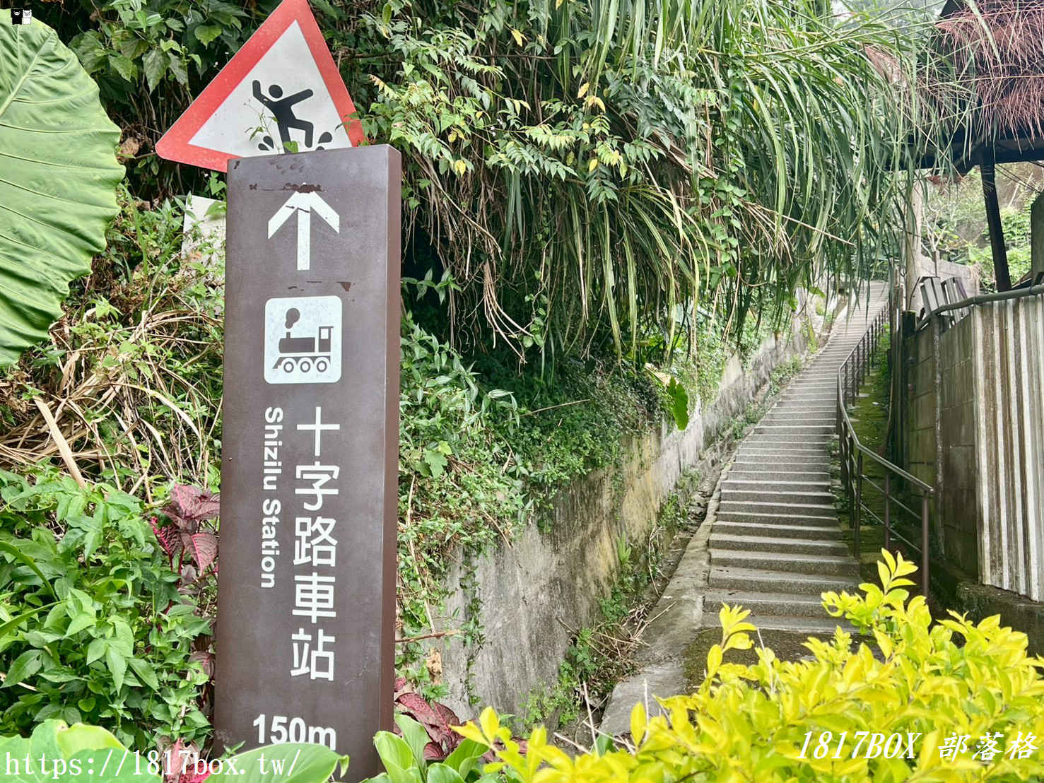 【嘉義。阿里山】十字路阿嬤草仔粿。七道傳統製作工法。阿里山超人氣小吃