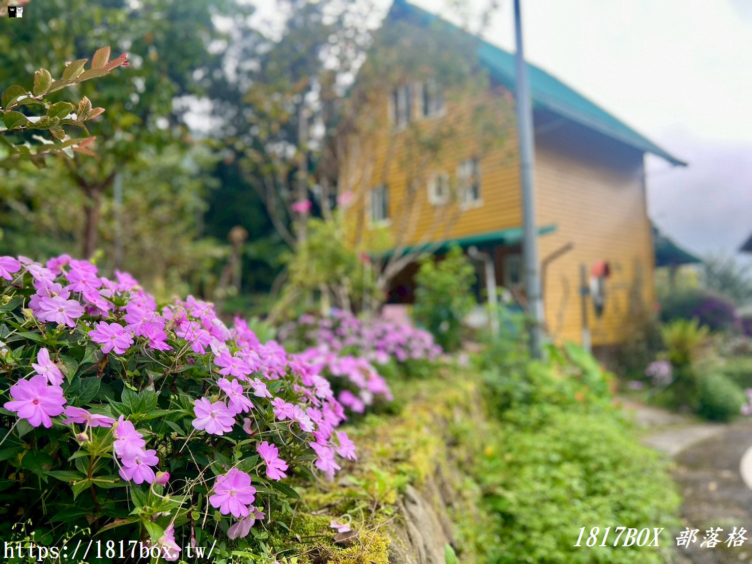 【嘉義。阿里山】得恩亞納部落-台版合掌村。色彩斑斕的高腳屋 【嘉義。阿里山】得恩亞納部落-台版合掌村。色彩斑斕的高腳屋