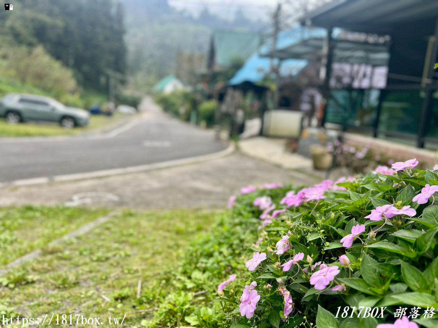 【嘉義。阿里山】得恩亞納部落-台版合掌村。色彩斑斕的高腳屋
