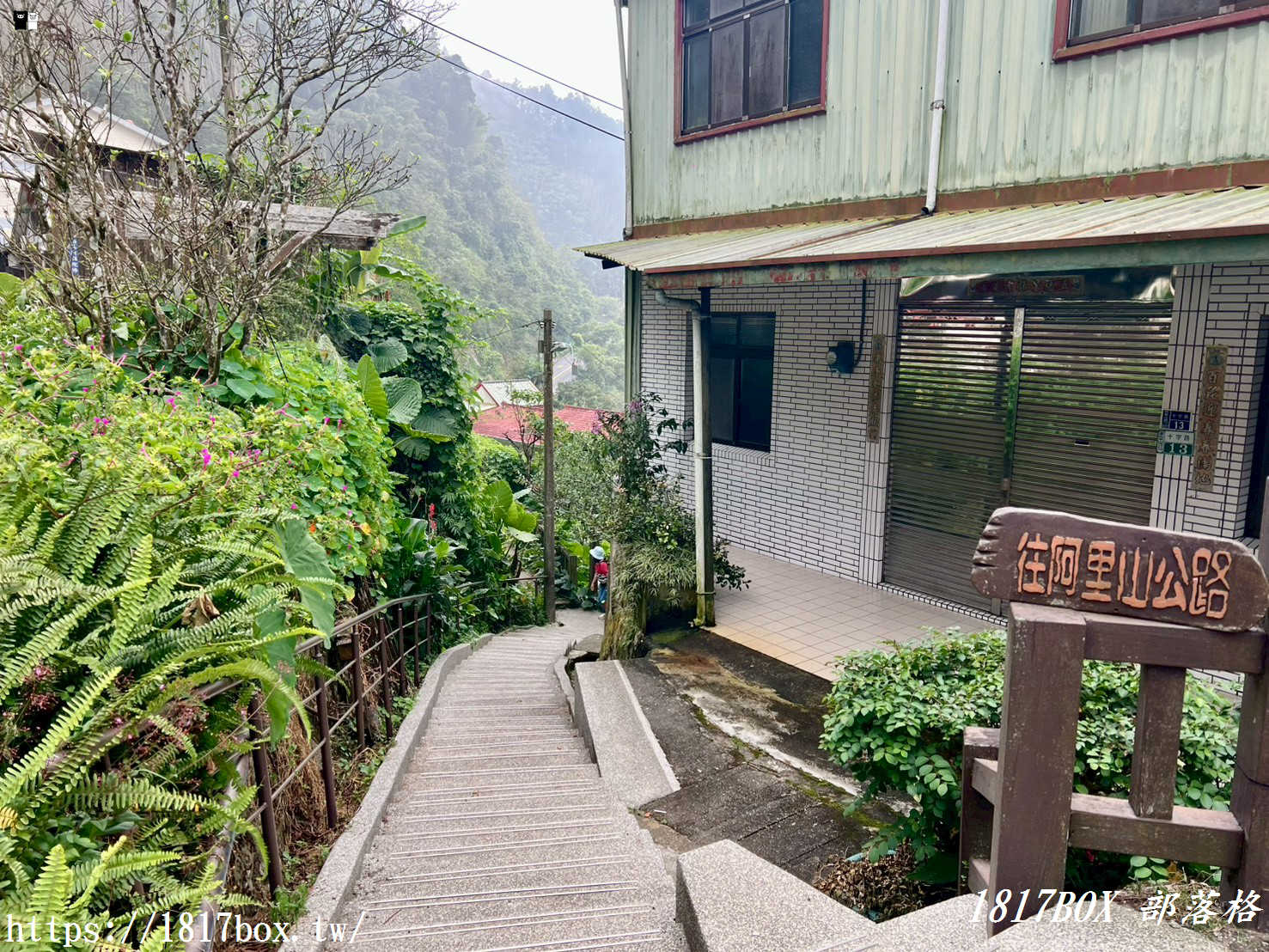 【嘉義。阿里山】十字路車站。目前為阿里山森林鐵路本線復駛的最高點