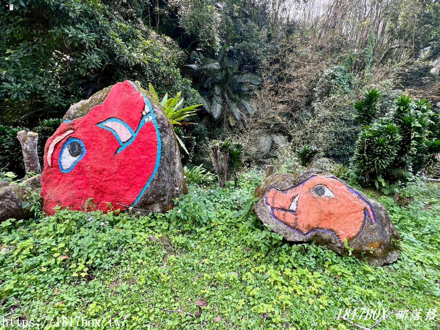 【嘉義。阿里山】來吉部落山豬公園。斯比斯比生態步道