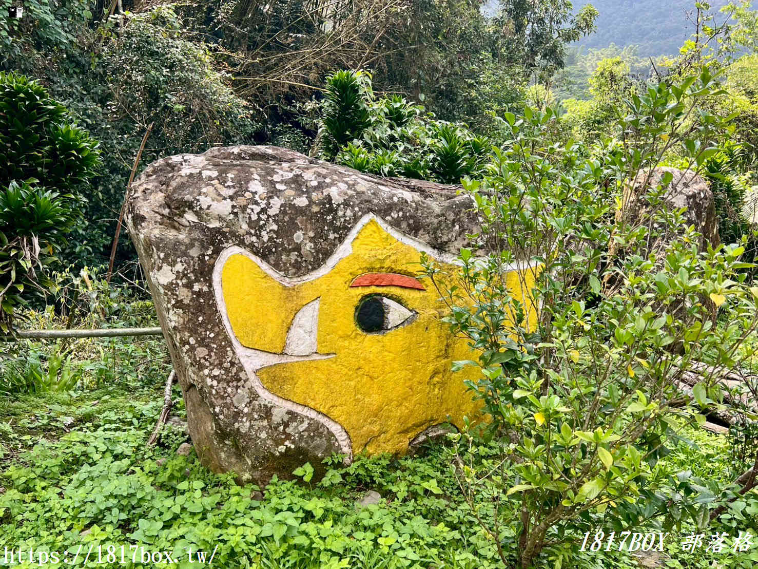 【嘉義。阿里山】來吉部落山豬公園。斯比斯比生態步道