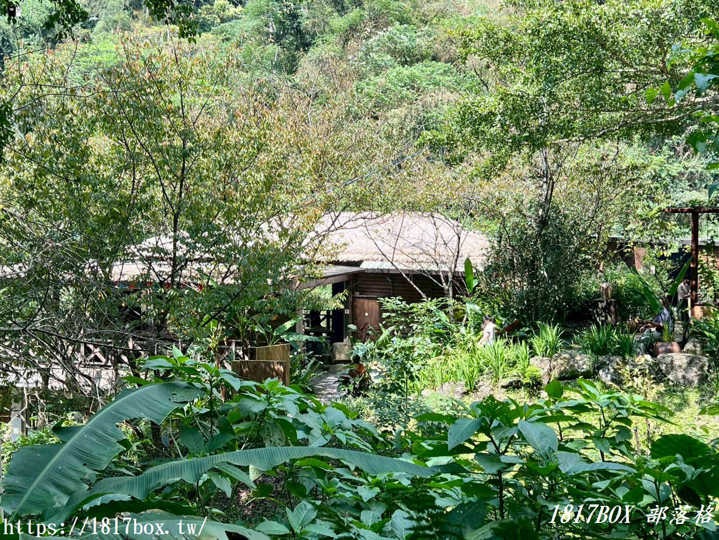 【嘉義。阿里山】行來吊橋。來吉二號吊橋