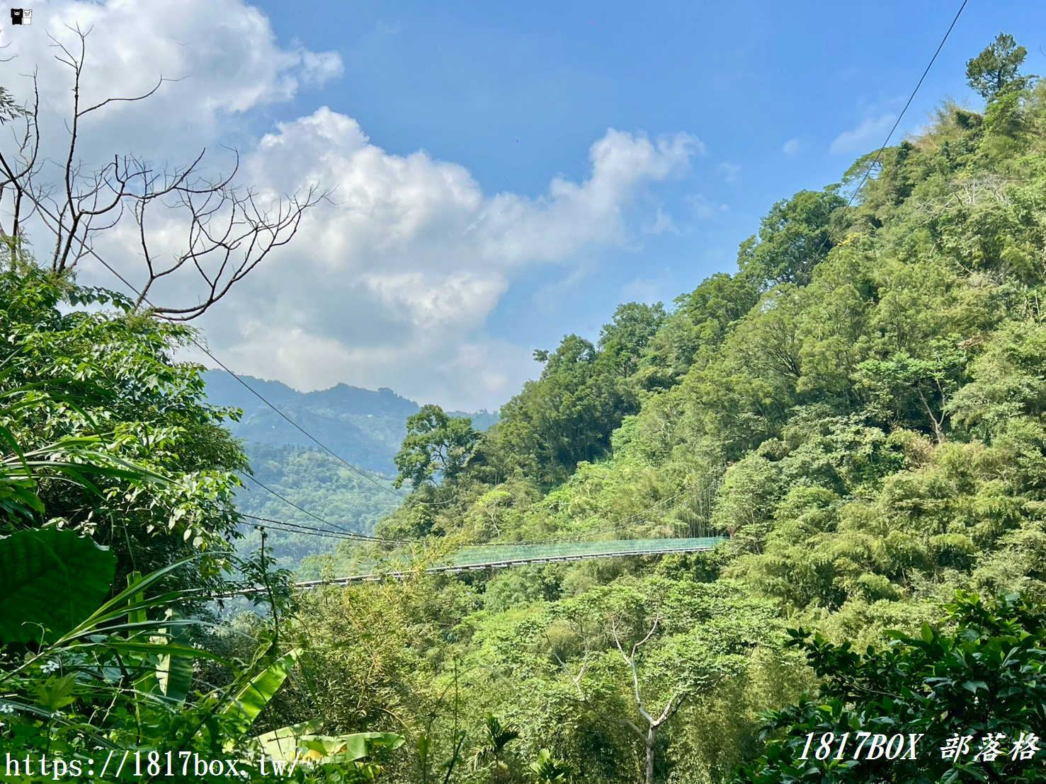 【嘉義。阿里山】行來吊橋。來吉二號吊橋 【嘉義。阿里山】行來吊橋。來吉二號吊橋