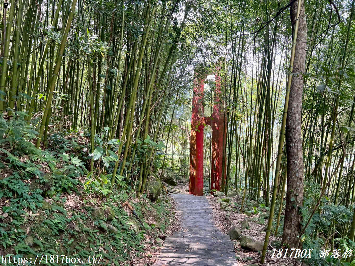 【嘉義。阿里山】行來吊橋。來吉二號吊橋 【嘉義。阿里山】行來吊橋。來吉二號吊橋