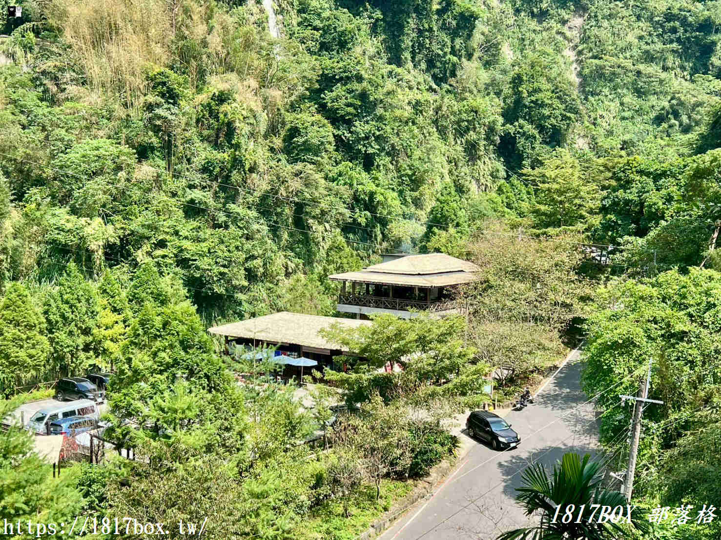 【嘉義。阿里山】行來吊橋。來吉二號吊橋