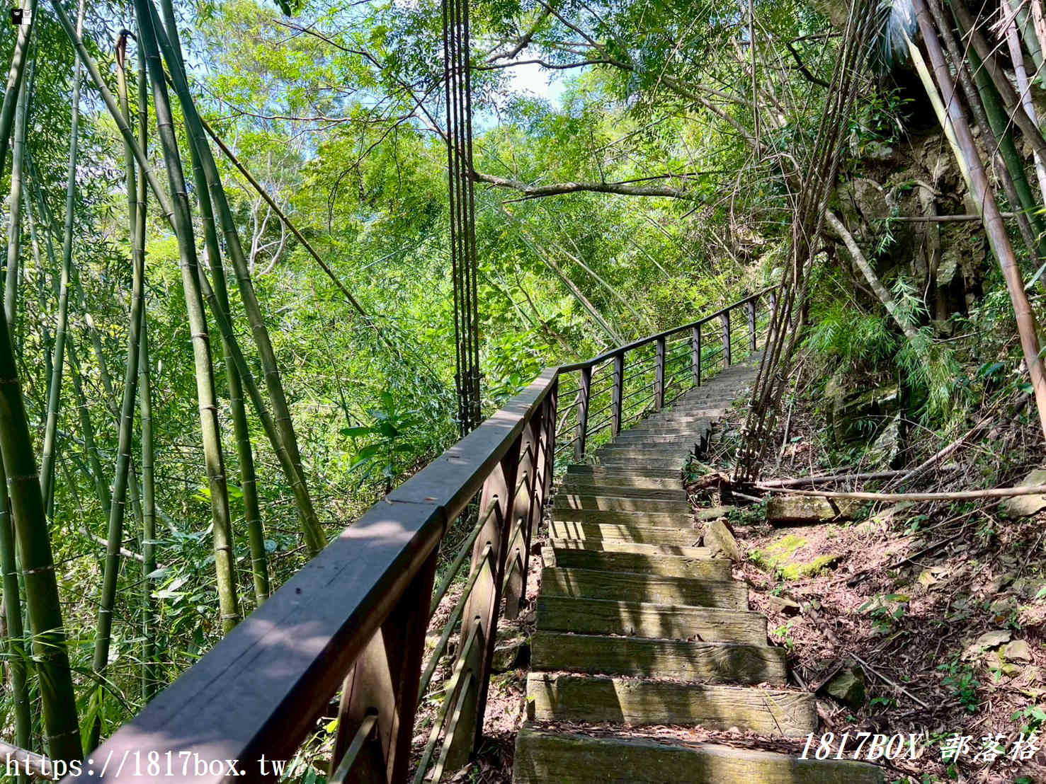 【嘉義。阿里山】行來吊橋。來吉二號吊橋 【嘉義。阿里山】行來吊橋。來吉二號吊橋