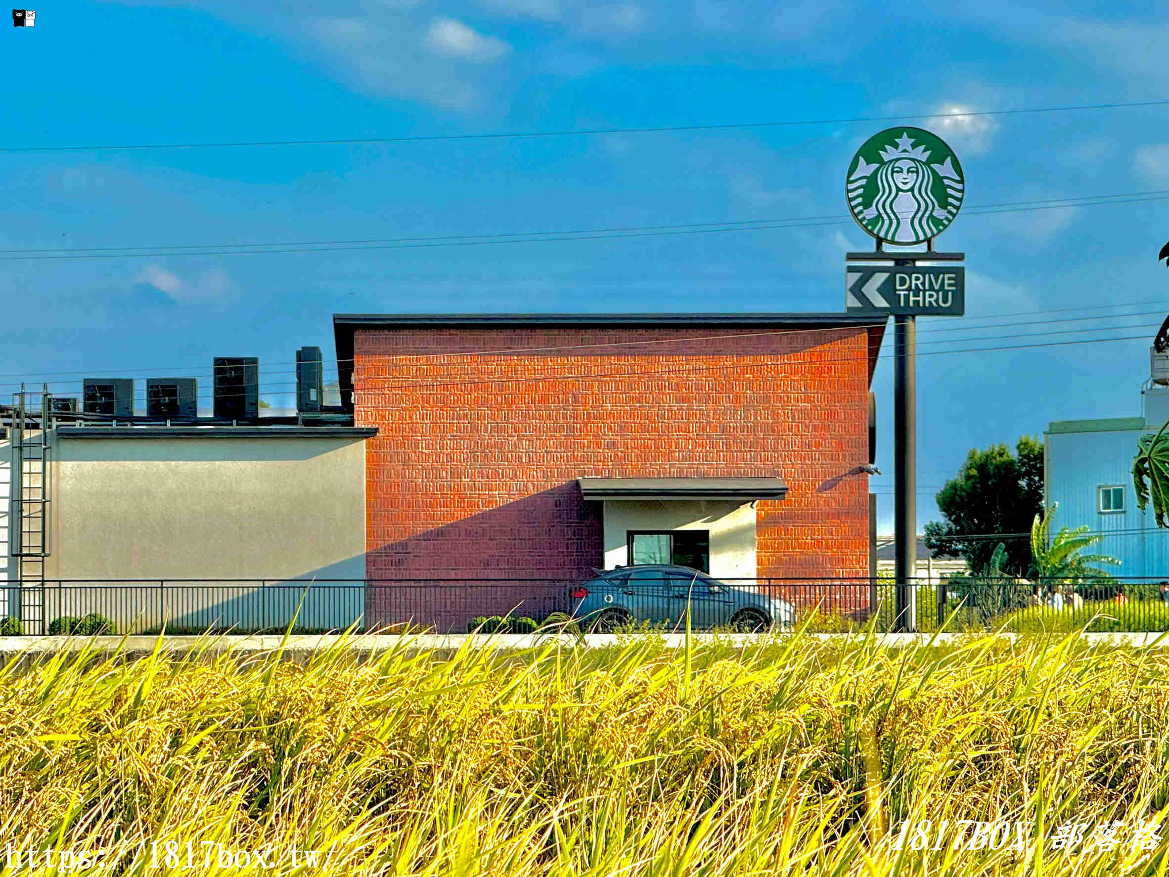 【苗栗。苑裡】星巴克 苑裡稻香門市。金黃稻浪與咖啡的對話