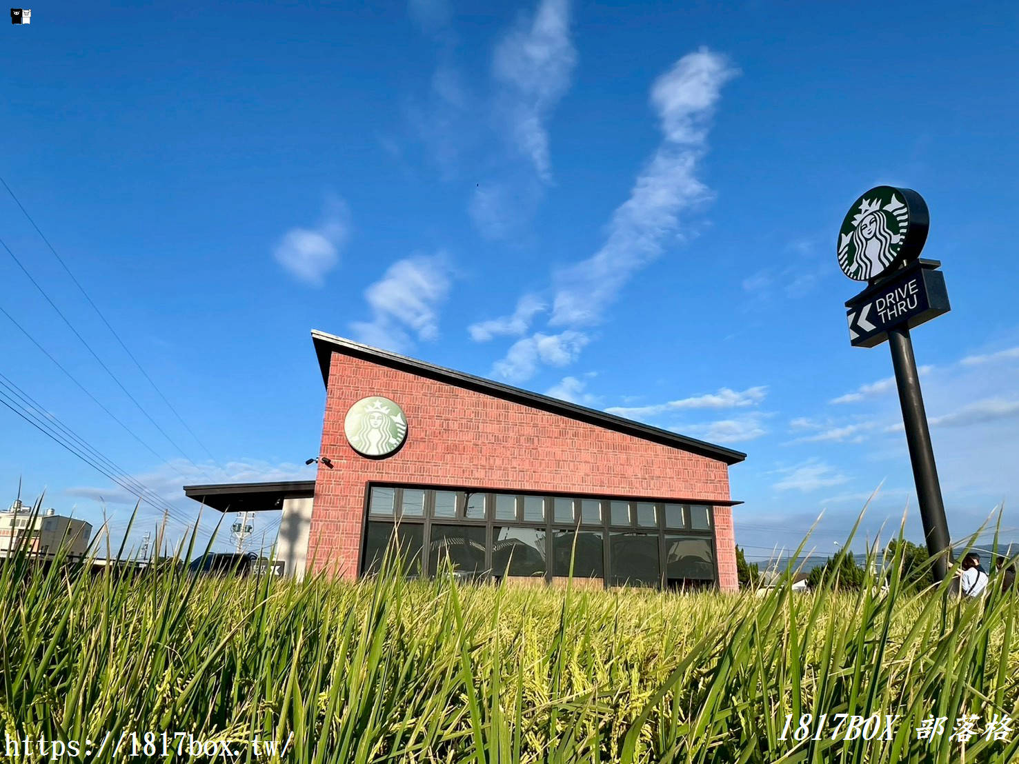 【苗栗。苑裡】星巴克 苑裡稻香門市。金黃稻浪與咖啡的對話
