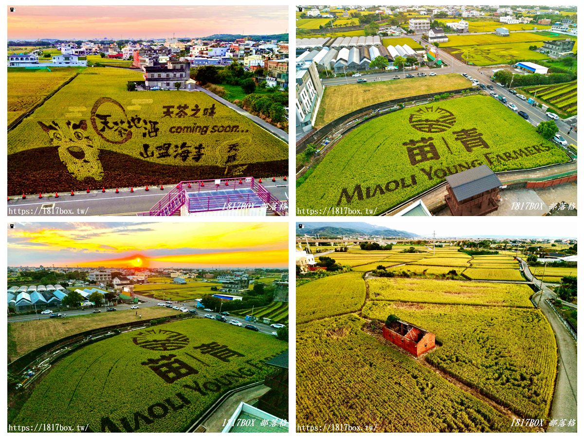 網站近期文章：【苗栗。苑裡】稻田彩繪觀景臺。每年有不同主題的彩繪稻田供遊客欣賞