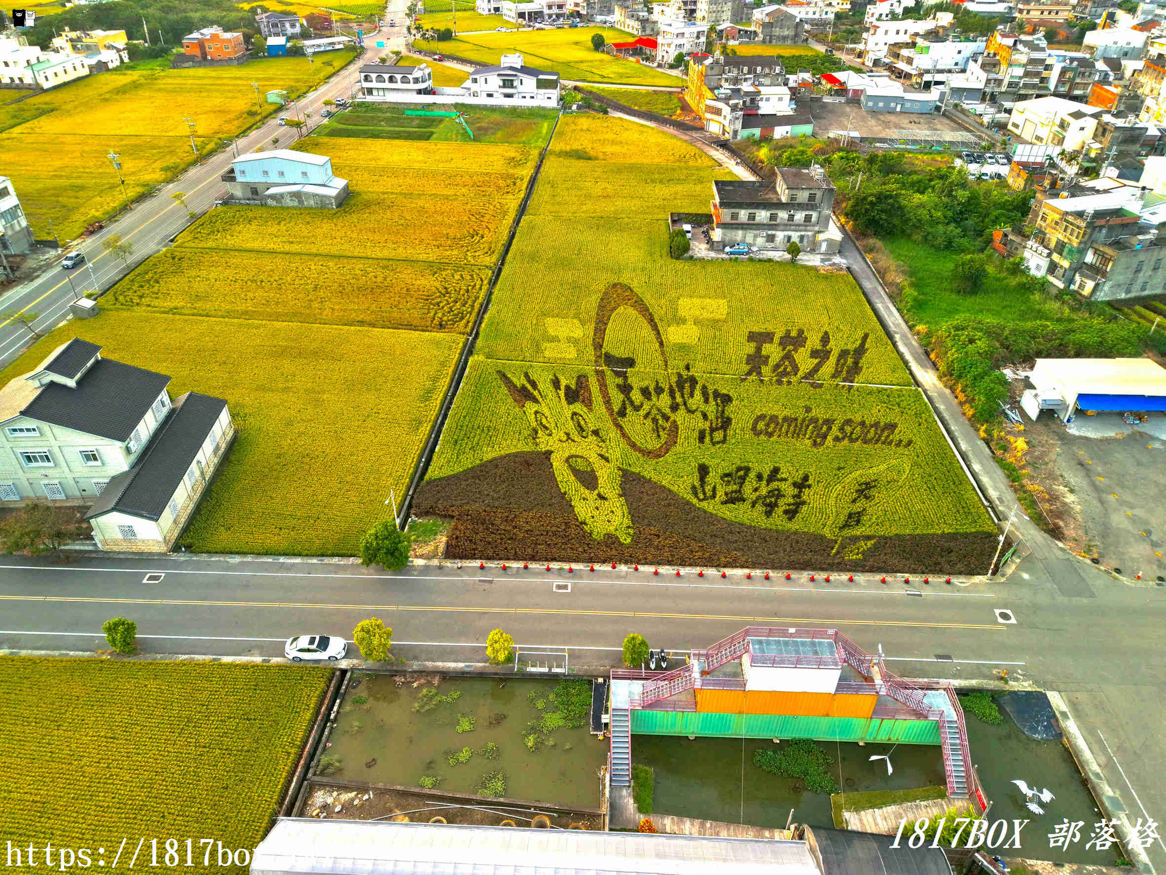 【苗栗。苑裡】稻田彩繪觀景臺。每年有不同主題的彩繪稻田供遊客欣賞 【苗栗。苑裡】稻田彩繪觀景臺。每年有不同主題的彩繪稻田供遊客欣賞