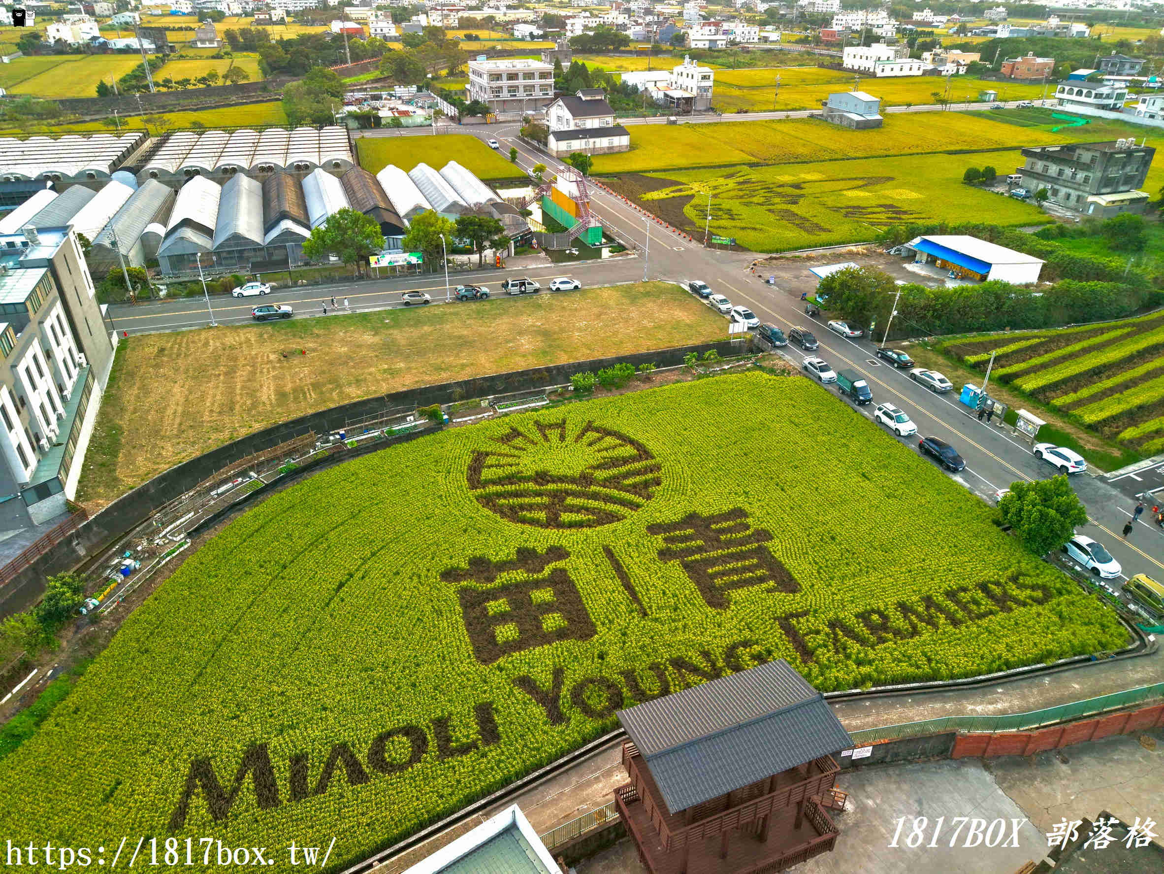 【苗栗。苑裡】稻田彩繪觀景臺。每年有不同主題的彩繪稻田供遊客欣賞 【苗栗。苑裡】稻田彩繪觀景臺。每年有不同主題的彩繪稻田供遊客欣賞