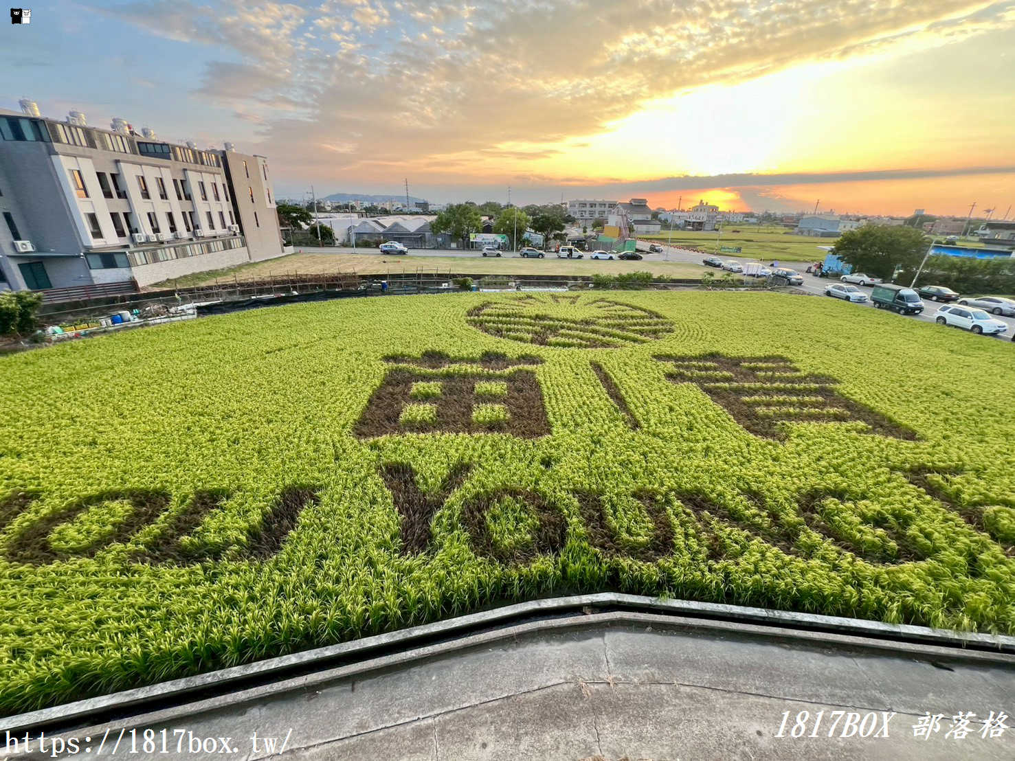【苗栗。苑裡】稻田彩繪觀景臺。每年有不同主題的彩繪稻田供遊客欣賞 【苗栗。苑裡】稻田彩繪觀景臺。每年有不同主題的彩繪稻田供遊客欣賞