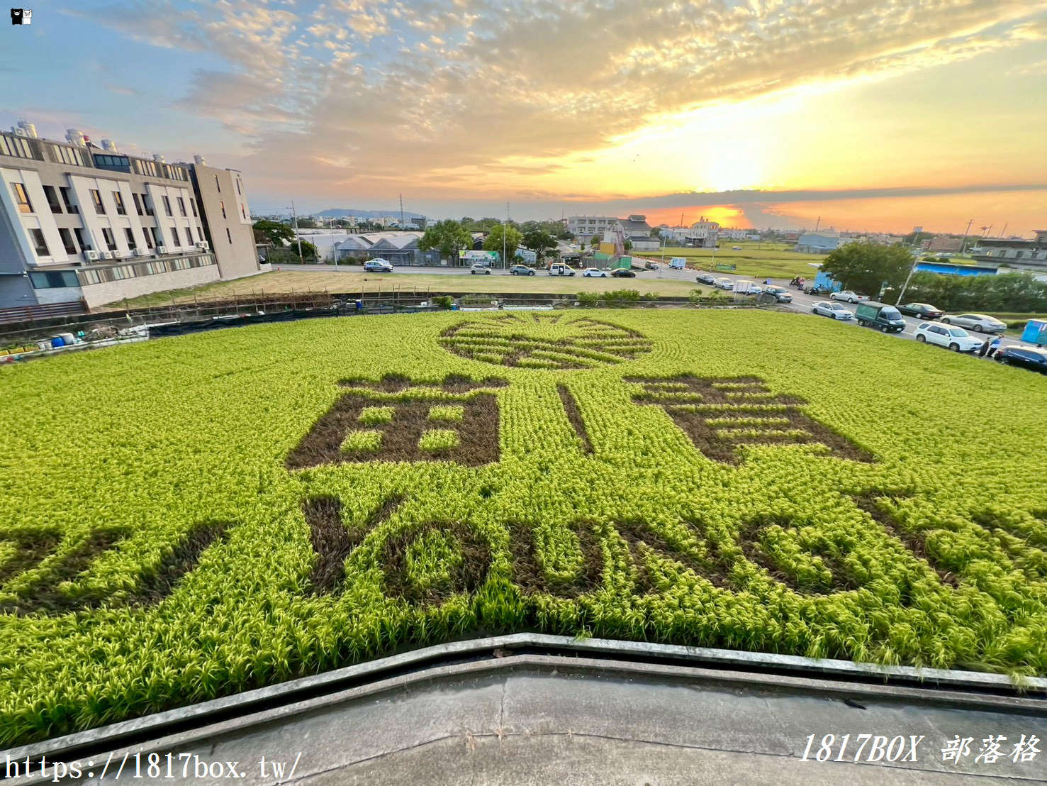【苗栗。苑裡】稻田彩繪觀景臺。每年有不同主題的彩繪稻田供遊客欣賞 【苗栗。苑裡】稻田彩繪觀景臺。每年有不同主題的彩繪稻田供遊客欣賞