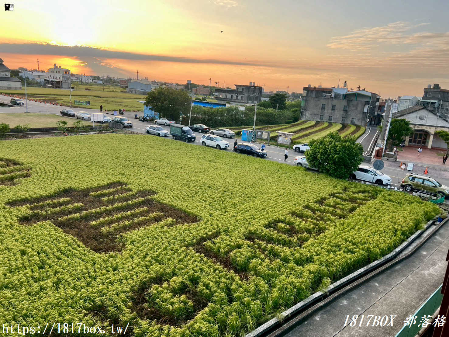 【苗栗。苑裡】稻田彩繪觀景臺。每年有不同主題的彩繪稻田供遊客欣賞 【苗栗。苑裡】稻田彩繪觀景臺。每年有不同主題的彩繪稻田供遊客欣賞